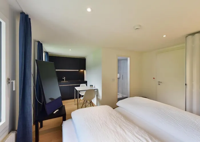 Bellevue & 公寓式酒店 3*