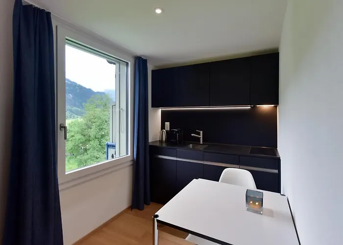 Bellevue & 公寓式酒店 伦克